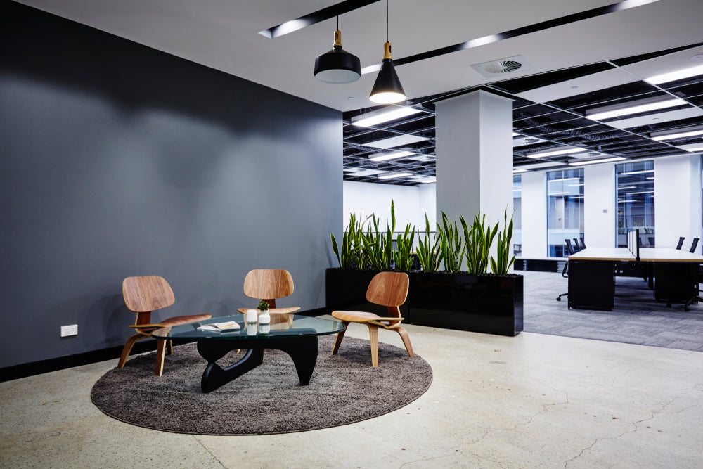 area rug benefits office