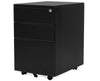 Storage - Mobile File Cabinet