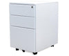 Storage - Mobile File Cabinet